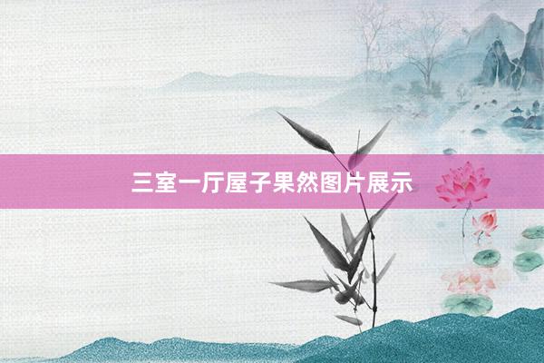 三室一厅屋子果然图片展示